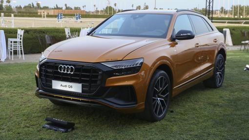 Modelo Audi Q8