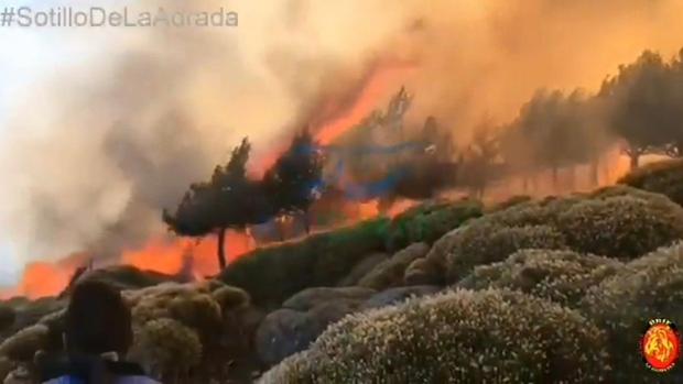 El Ayuntamiento de Sotillo de la Adrada (Ávila) calcula en 300 hectáreas la superficie afectada