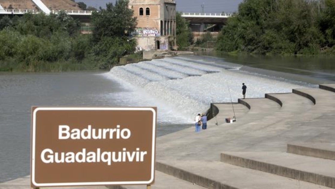 Acción de WWf en el río Guadalquivir