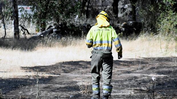 El fuego arrasa 53.119 hectáreas hasta el 21 de julio de 2019, que ya es el cuarto peor año del decenio