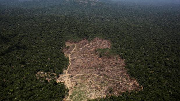 El director del INPE dice que el aumento de la deforestación en la Amazonia es «innegable»