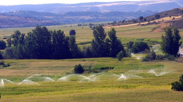 «En España hay un problema con el regadío, es una mala adaptación al cambio climático»