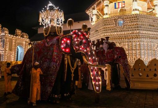 Elefantes cubiertos de telas costosas y extremadamente largas para ocultar su mal estado durante el festival Esala Perahera, Kandy