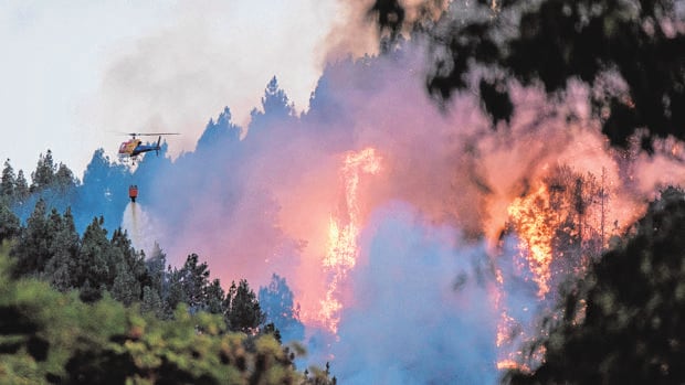 El incendio de Gran Canaria pone en peligro el territorio más virgen de la isla