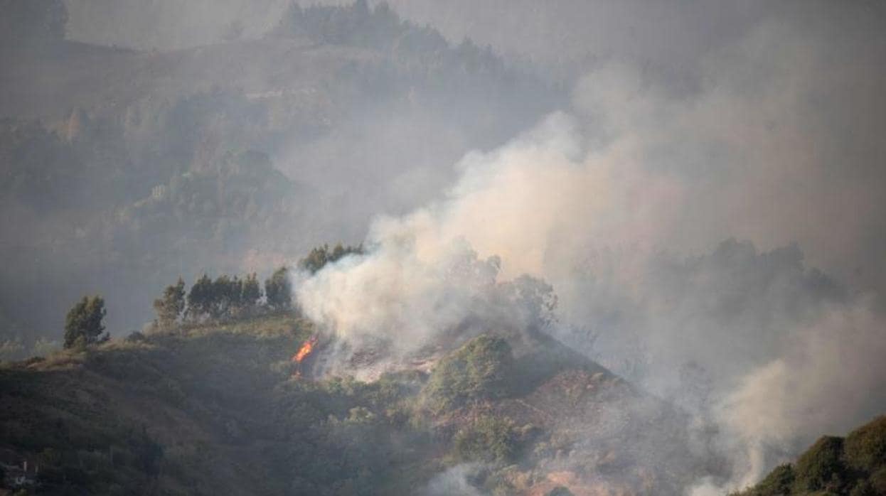 Incendio Gran Canaria: desastre medioambiental sin precedentes