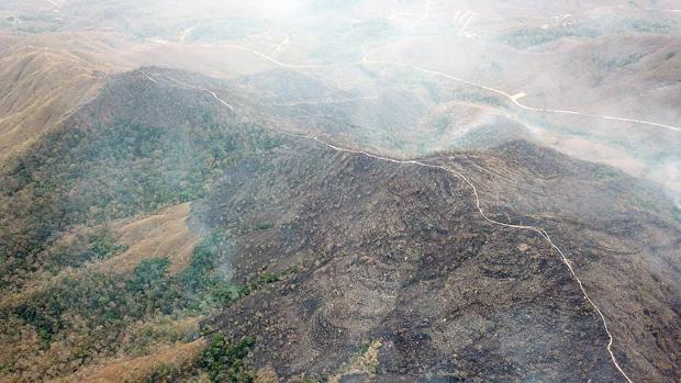 Por qué los incendios en la Amazonia le afectan aunque viva en la otra punta del planeta