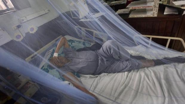 Honduras vive el peor brote de dengue de su historia con 117 fallecidos