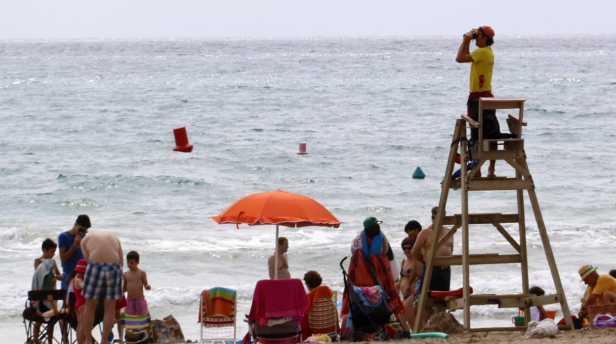 Imagen de archivo de un socorrista controlando en la playa del Postiguet (Alicante)