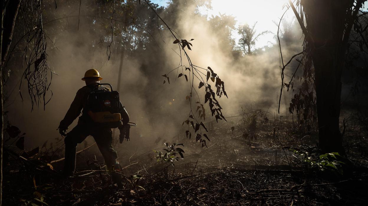 Bomberos participan en la extinción de un incendio en el Amazonas