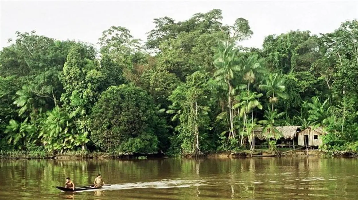 Fotografía de archivo del Amazonas