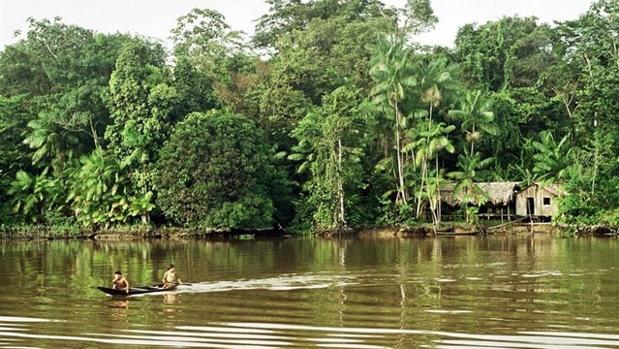 Asesinan en la selva amazónica de Brasil a un trabajador de la Fundación Nacional del Indígena