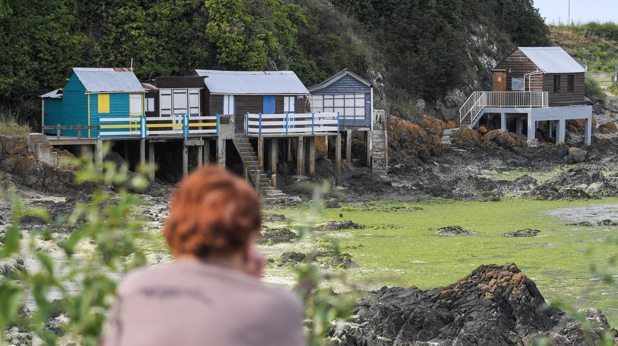 Una mujer observa el rastro de algas que ha dejado la marea en una playa de Francia