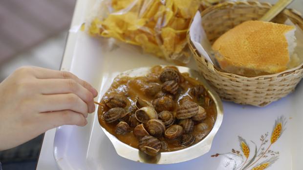 Comer erizos o caracoles infectados crudos o poco cocinados puede causar meningitis
