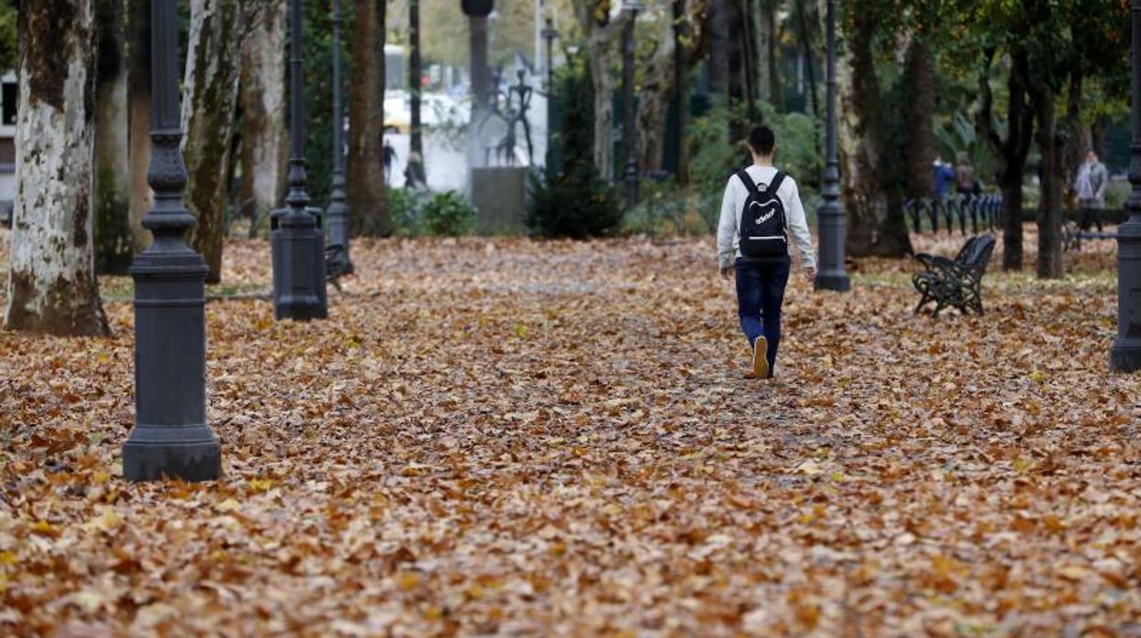 Las hojas caídas representan la llegada del otoño 2019