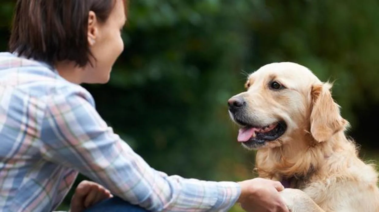 Los españoles consideran que sus perros son más felices que ellos