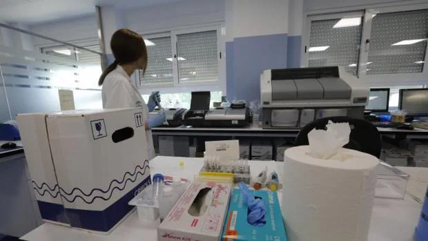 Japón importa muestras de ébola y otros virus mortales con fines científicos