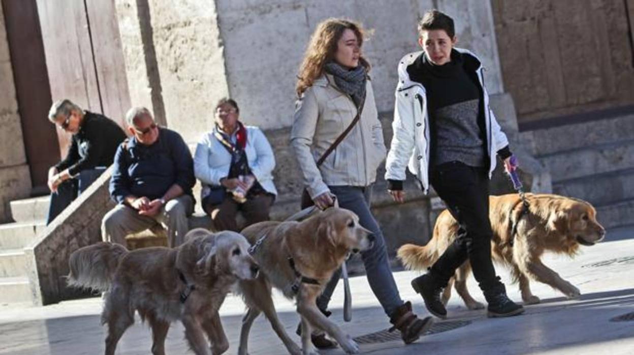 Tener una mascota ayuda a encontrar pareja