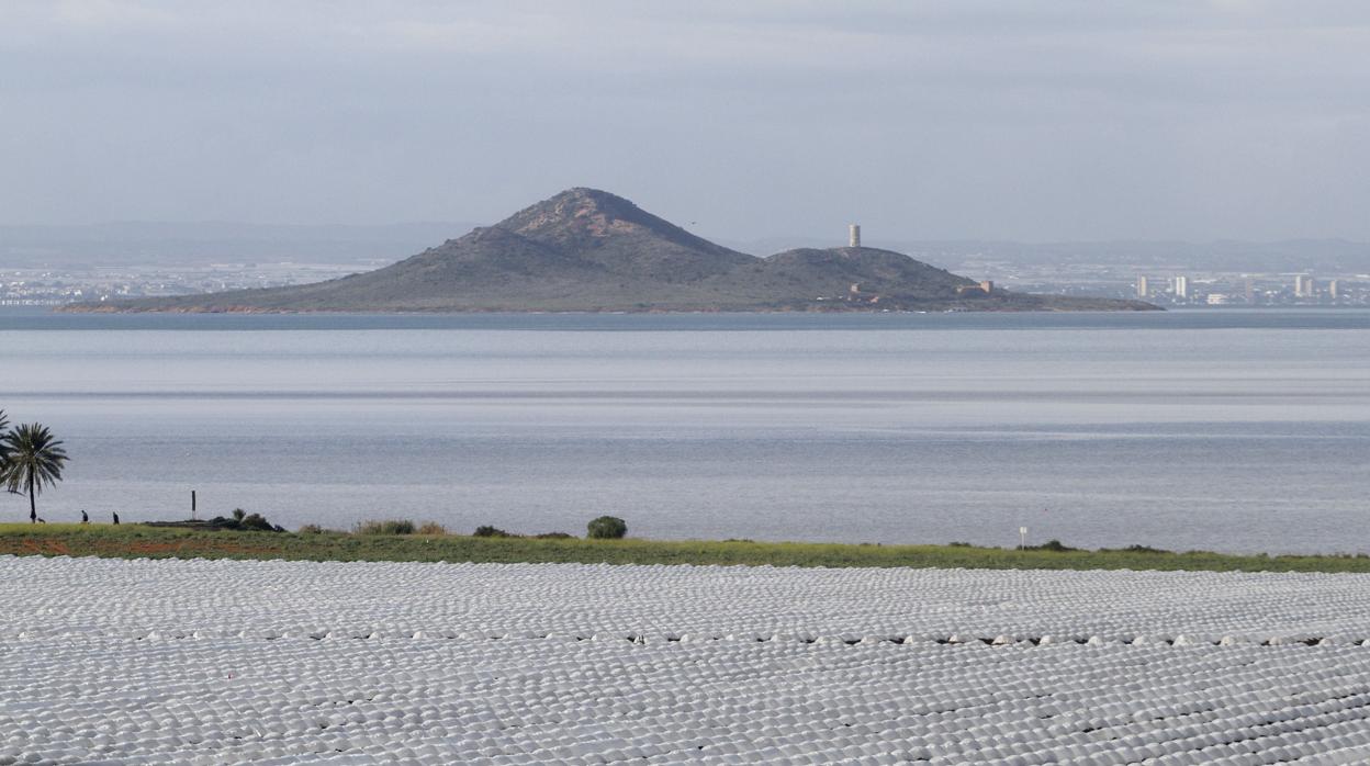 Campos de cultivo a la orilla del Mar Menor