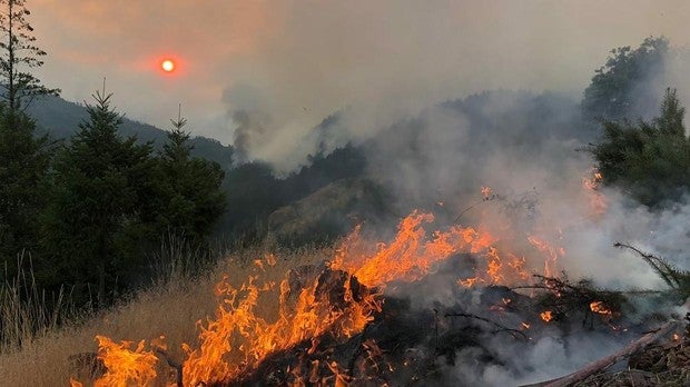 Once mil científicos advierten sobre un «incalculable sufrimiento humano» si no se frena el cambio climático