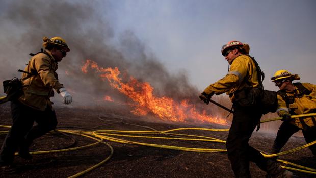 Los pastos invasivos aumentan el riesgo de incendio