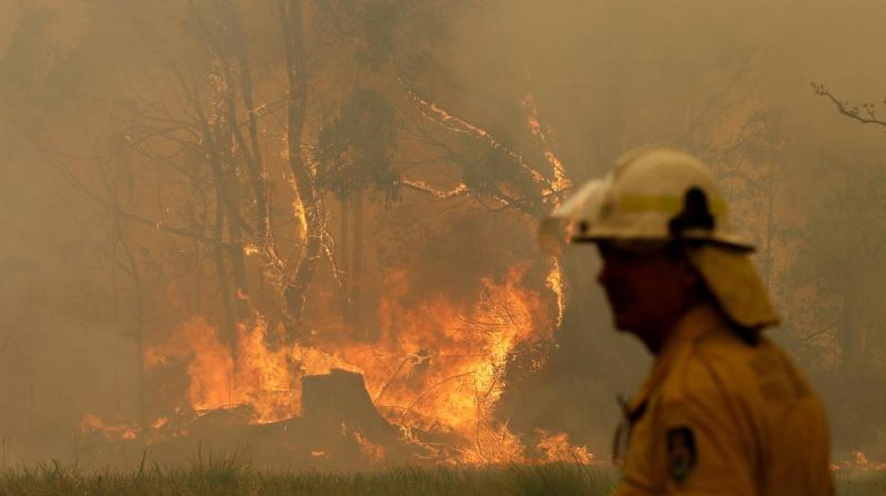 Ya se han quemado unas 575.000 hectáreas de terreno, lo que supera al doble del área ocupada por Luxemburgo