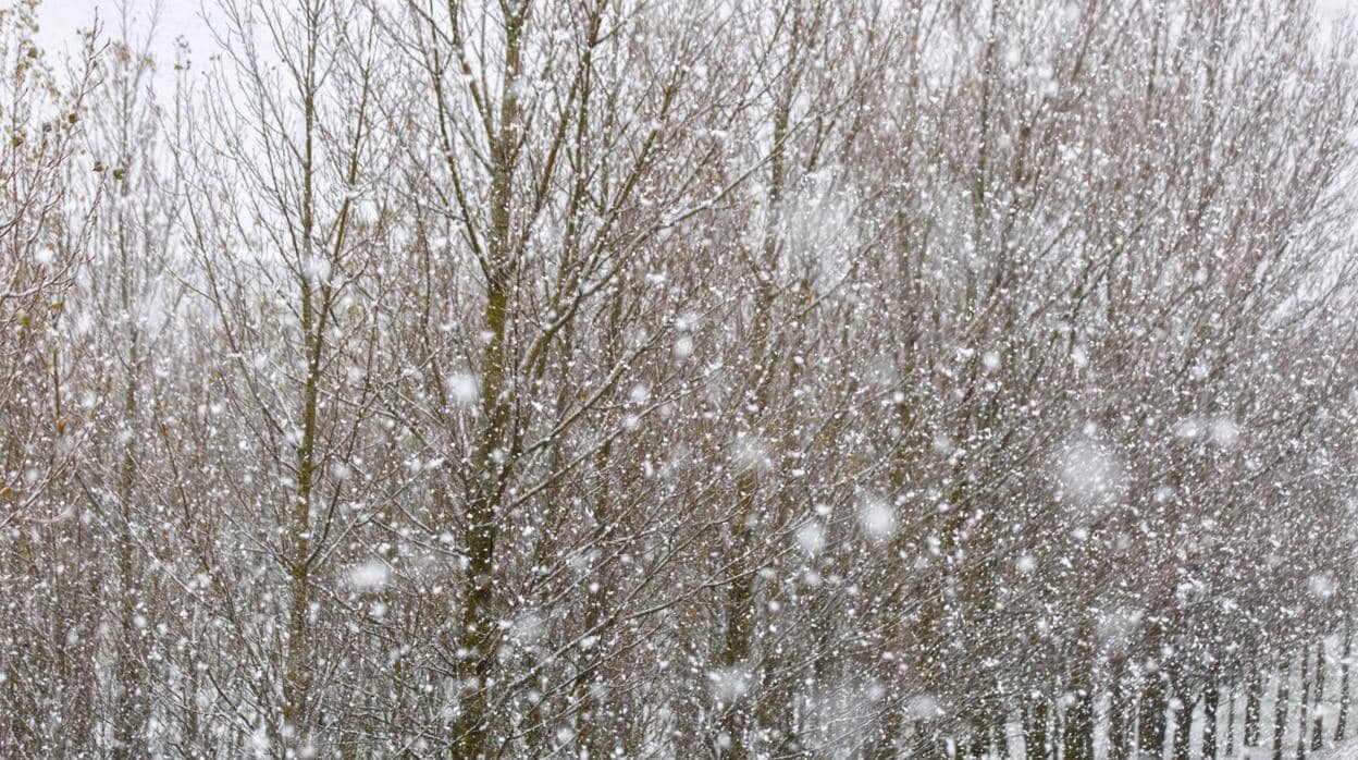 Copiosa nevada en la localidad alavesa de Agurain