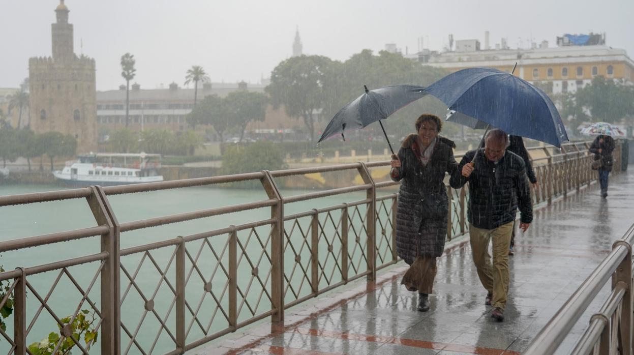 Lluvia y viento en Sevilla