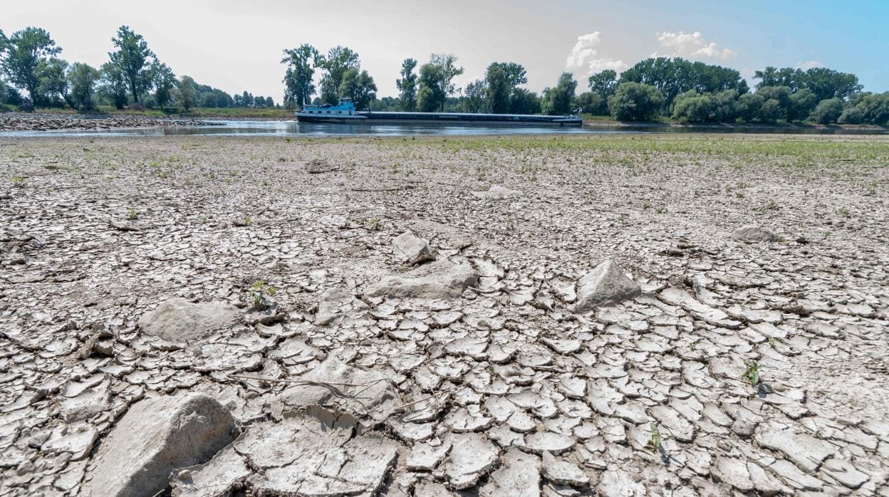 Los estragos de la sequía en Alemania el año pasado