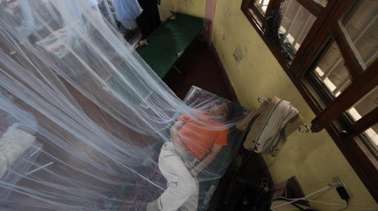 Ya son 177 los muertos por el peor brote de dengue hemorrágico en la historia de Honduras