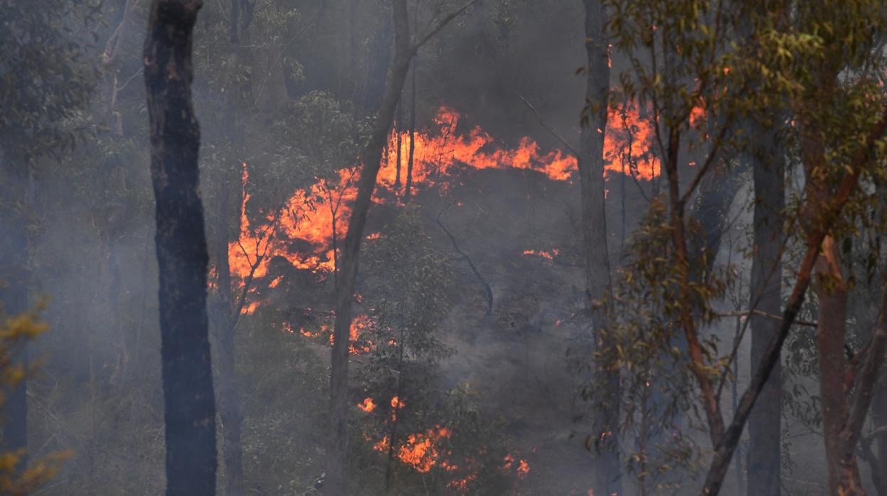 Imagen de los incendios en Australia