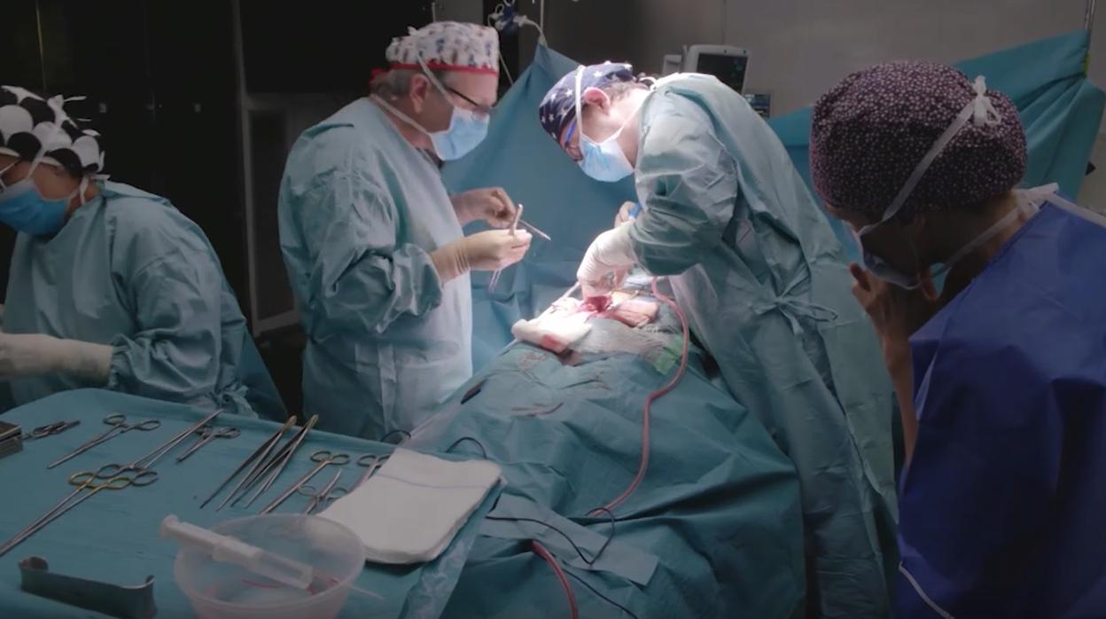 Imagen de archivo de la realización de un trasplante en España