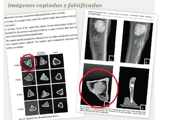 El líder de la trama de tesis plagiadas se doctoró por segunda vez con una investigación retractada