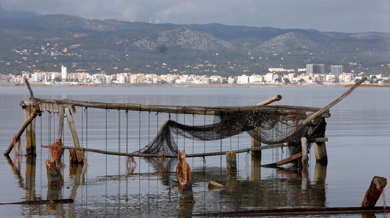 Vista de los viveros de mejillones en el Delta del Ebro tras el paso de la borrasca Gloria