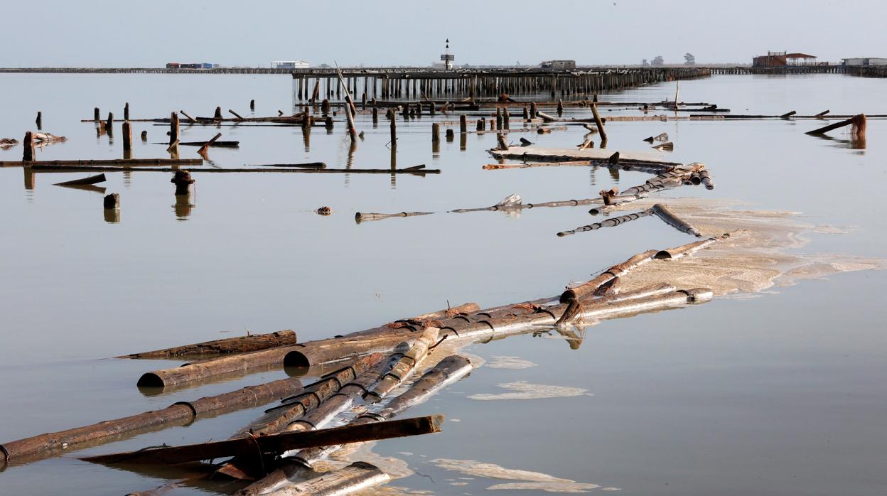 Viveros de mejillones en el Delta del Ebro a consecuencia del fuerte temporal causado por la borrasca Gloria