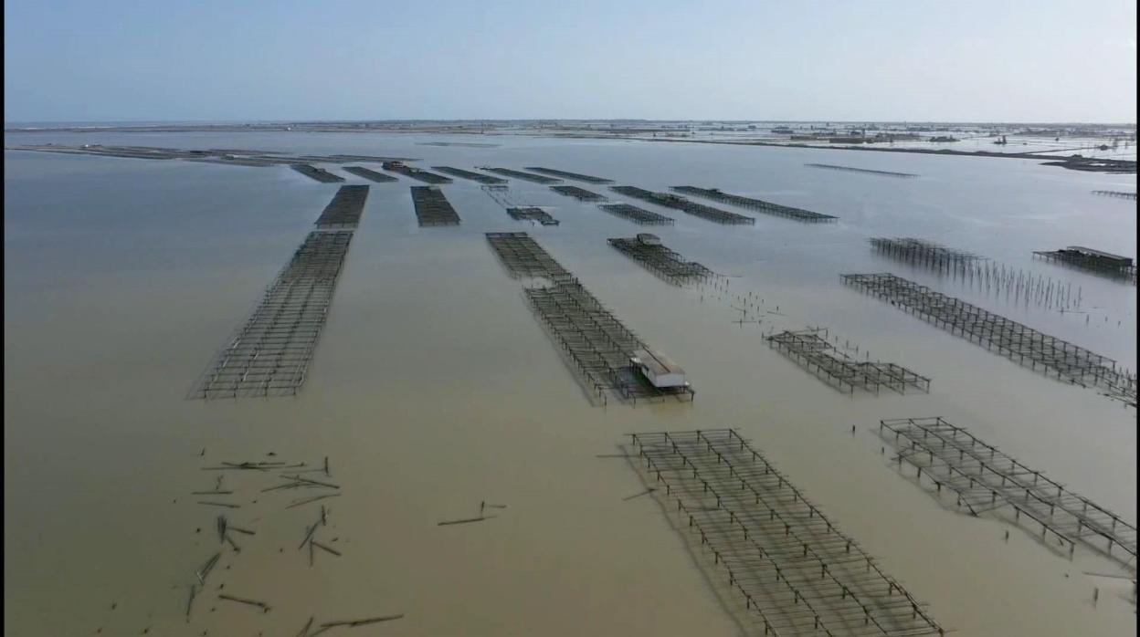 Vista general desde un dron del Delta del Ebro tras el paso de la borrasca Gloria