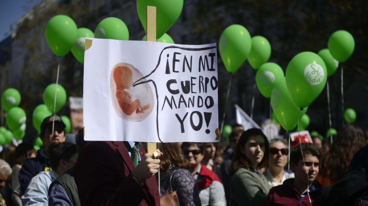 Manifestación «Sí a la vida» en Madrid