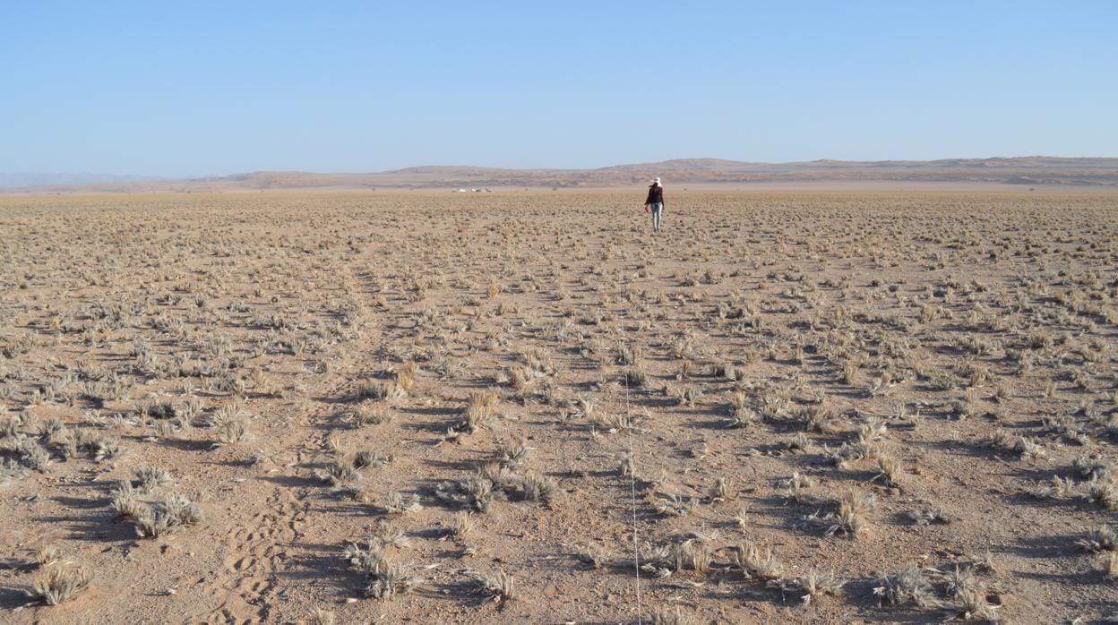 Albacete, Zaragoza o Almería, en riesgo por la aparición abrupta de desiertos debido al cambio climático