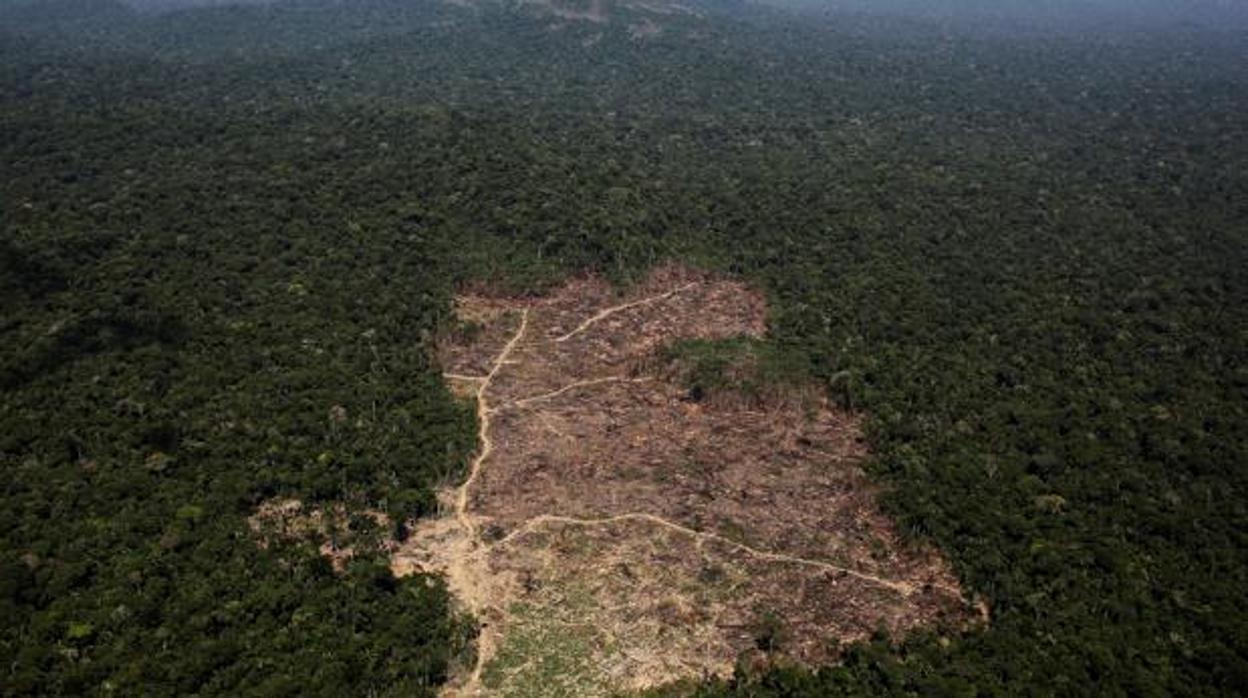 Zona del Amazonas en Brasil, recientemente deforestada por agricultores