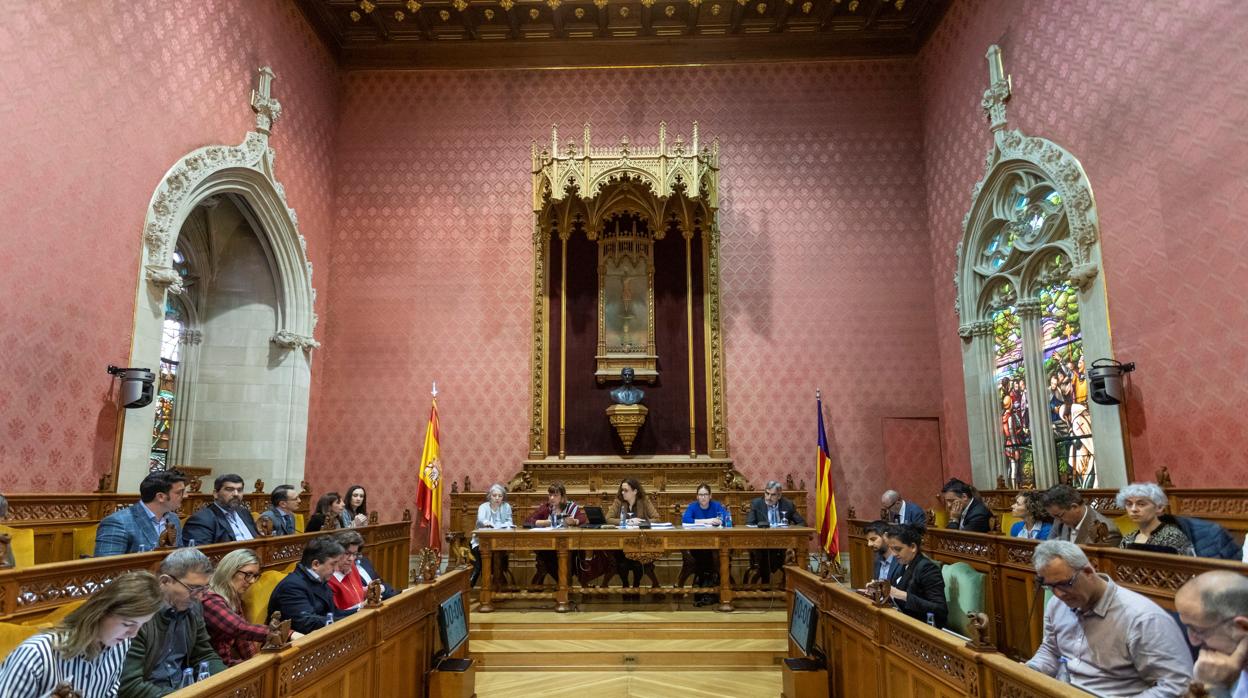 Pleno del Consell de Mallorca