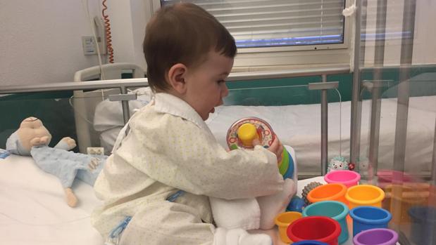 Lucas, el «niño burbuja» que necesita encontrar de manera urgente un donante de médula compatible