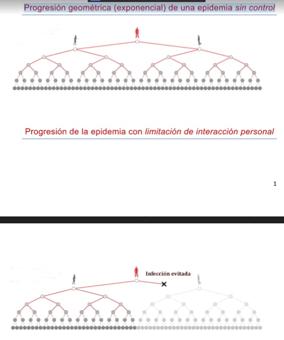 Una carta de ánimo: «Ojalá este pandemonio termine pronto y nos haga despertar de nuestro egoísmo existencial»