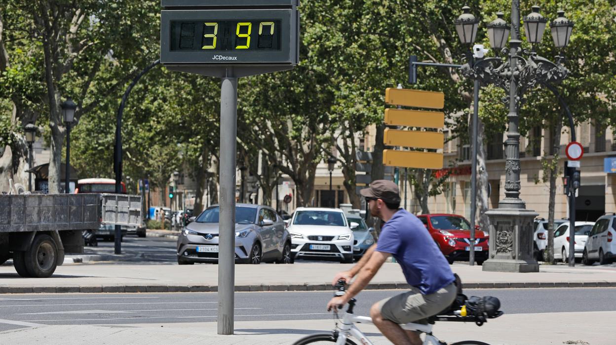 Un ciclista, el verano pasado en una calle de Valencia