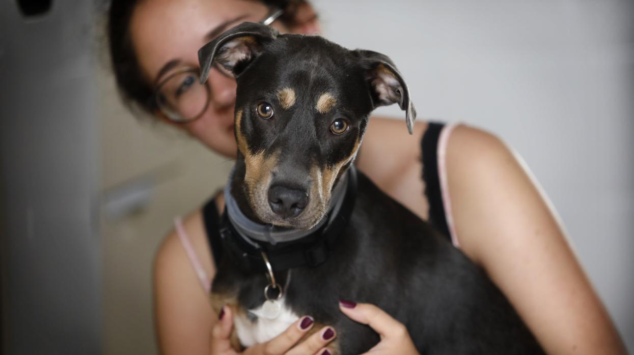 Una joven, con su perro