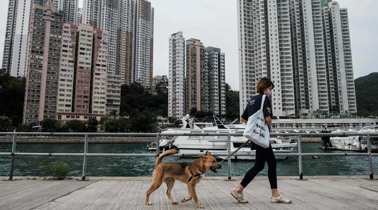 Una mujer pasea a su perro en China