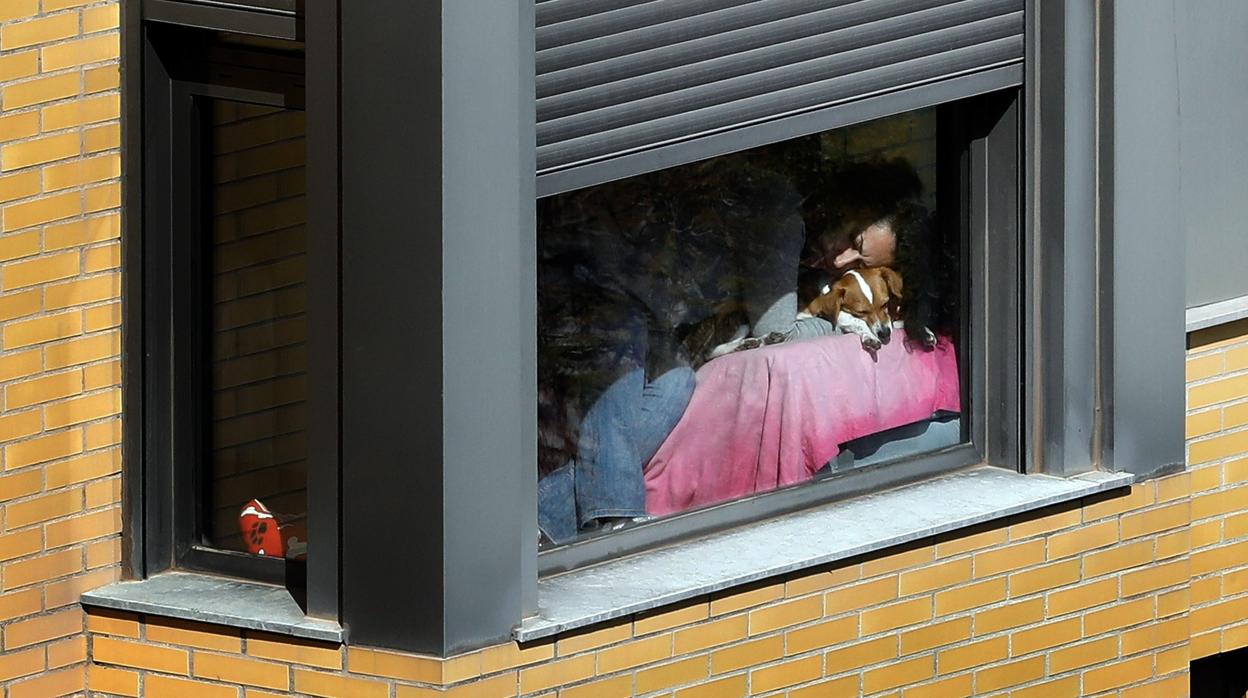 Escenas del confinamiento, Valencia