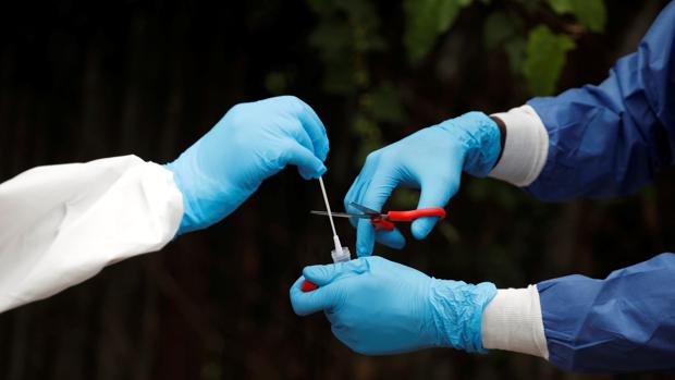 Pedro Sánchez insiste en presumir de test, pero obvia que la OCDE relegó a España al puesto 17