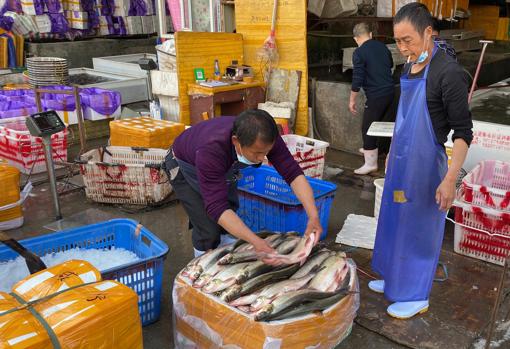 La Organización Mundial de la Salud ha instado a los gobiernos a cerrar los «mercados húmedos» que no cumplan estrictas normas de higiene y seguridad alimentaria