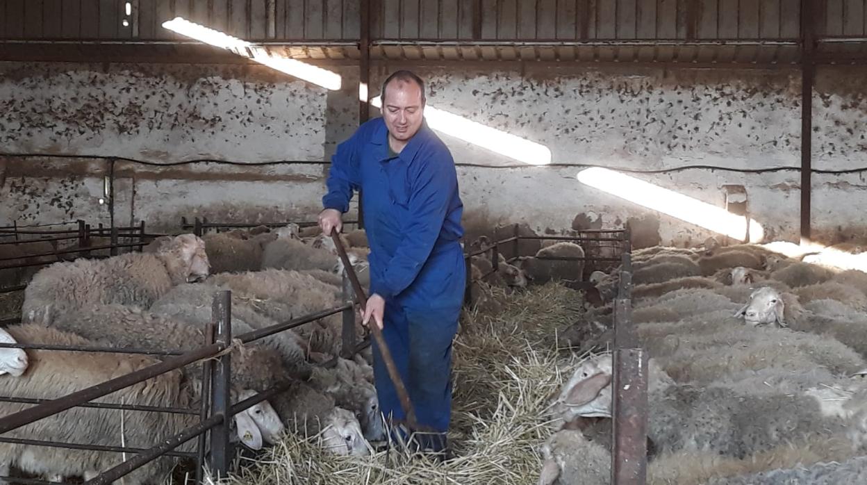 David Tejerina, ganadero, en su explotación de Villatoquite (Palencia)