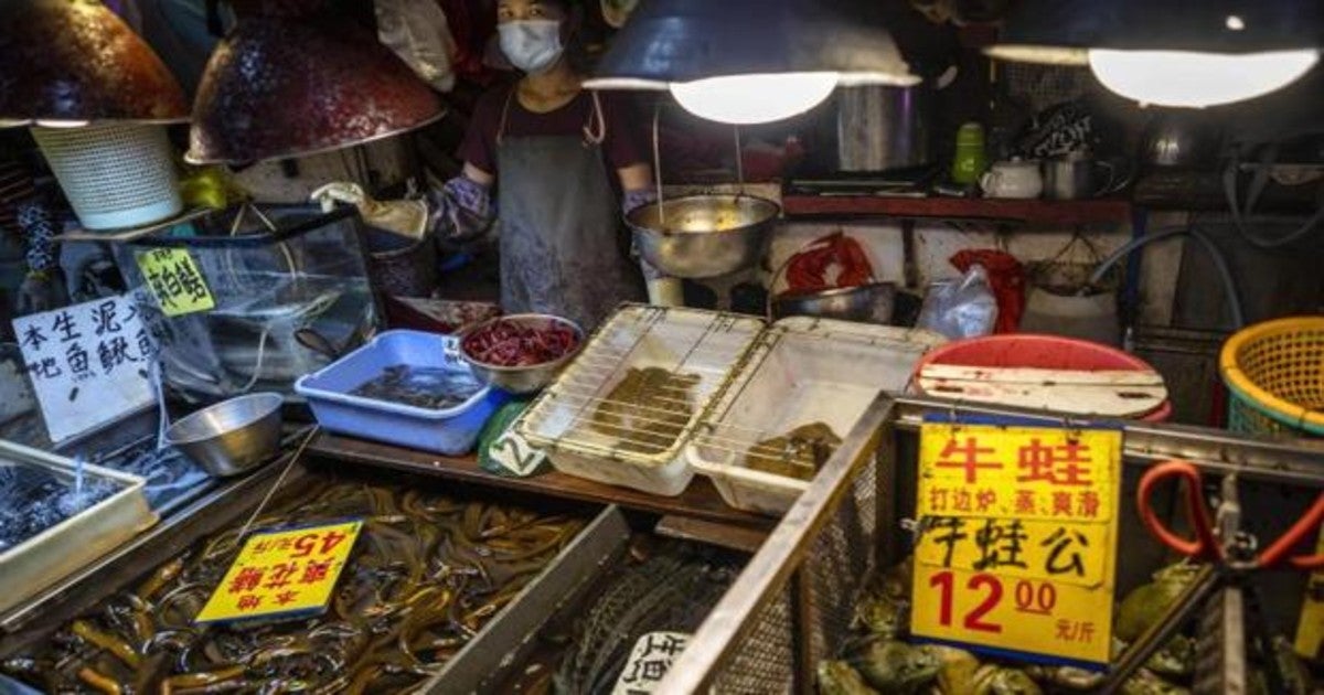 Mercado en Guangzhou,(China)