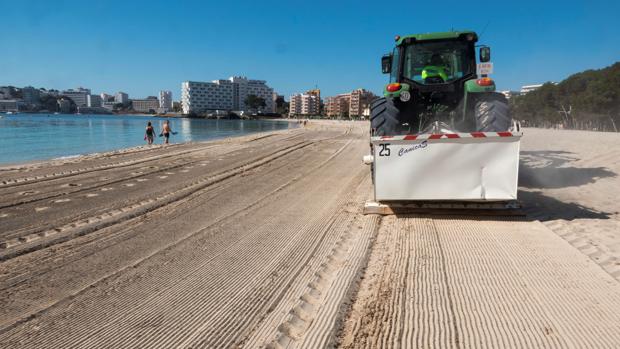 Palma prevé abrir al baño las cinco playas del término municipal el próximo lunes